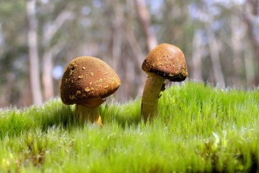 广州黄埔区2私人老板放款：轻松融资的秘密通道